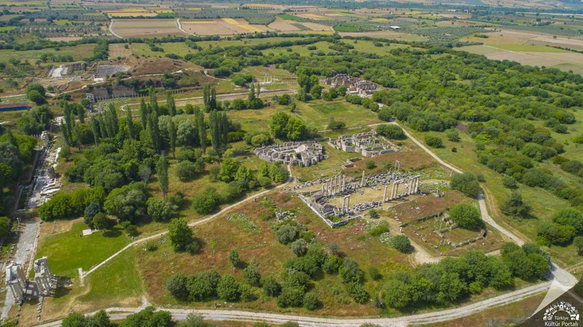 APHRODISIAS